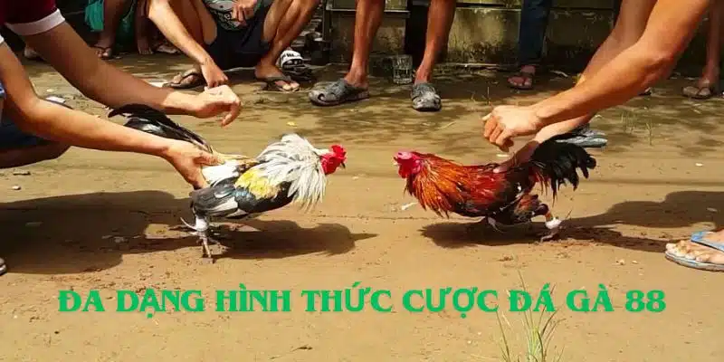 Cung cấp đa dạng hình thức đánh cược thú vị, độc đáo